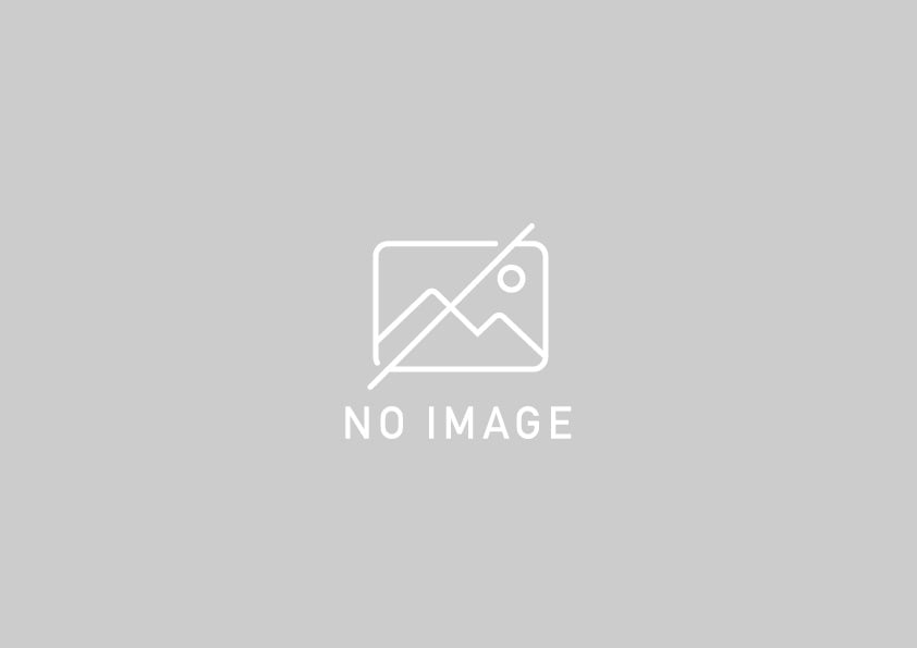 ここにキャプションが入ります